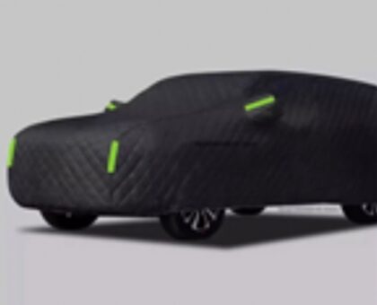 Чехол автомобильный защитный 510х200х145мм "H-D"